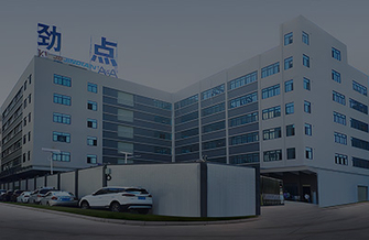 <span style="font-size:18px;">Company advantages</span>